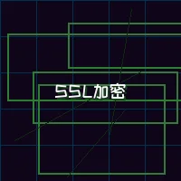 星空qipai 量子加密网络SSL安全认证
